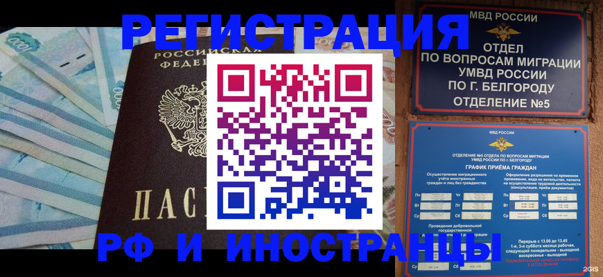 временная регистрация недорого в Кольчугино