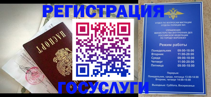прописка 2025 в Кольчугино